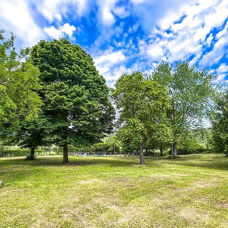 Pet Friendly Apartment Apartment *